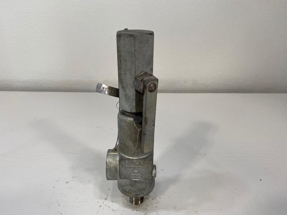Anderson Greenwood Crosby 3/4" x 1" NPT 150# WCB Relief Valve 951101MD
